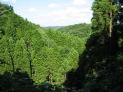 千葉県奥地へ一人旅。ペーパードライバー運転練習の為