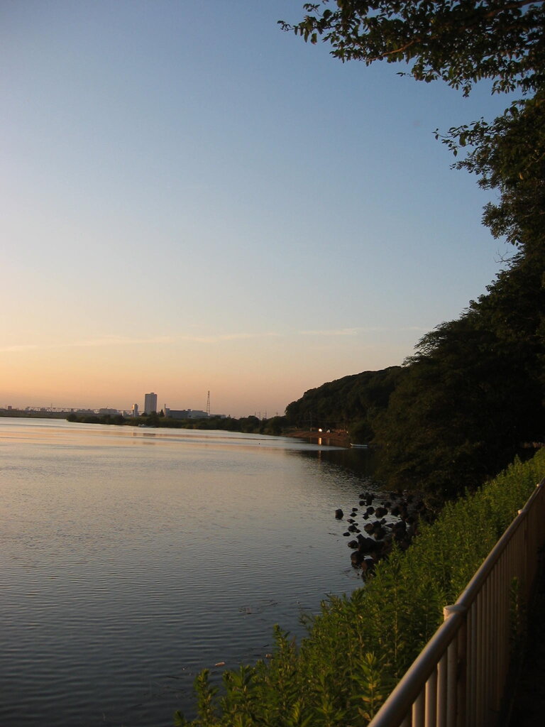 市川市の江戸川の土手から松戸へサイクリング中の撮影