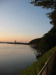 市川市の江戸川の土手から松戸へサイクリング中の撮影