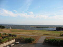 震災前、自転車で行った葛西臨海公園