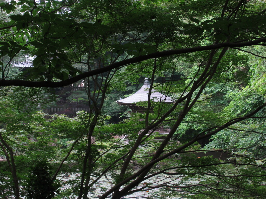 近所の神社