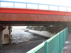 自転車で行った葛西臨海公園付近の橋