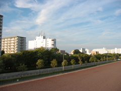 なんと船橋から葛西まで自転車