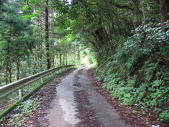 2004年クワガタ採集、北茨城、福島県