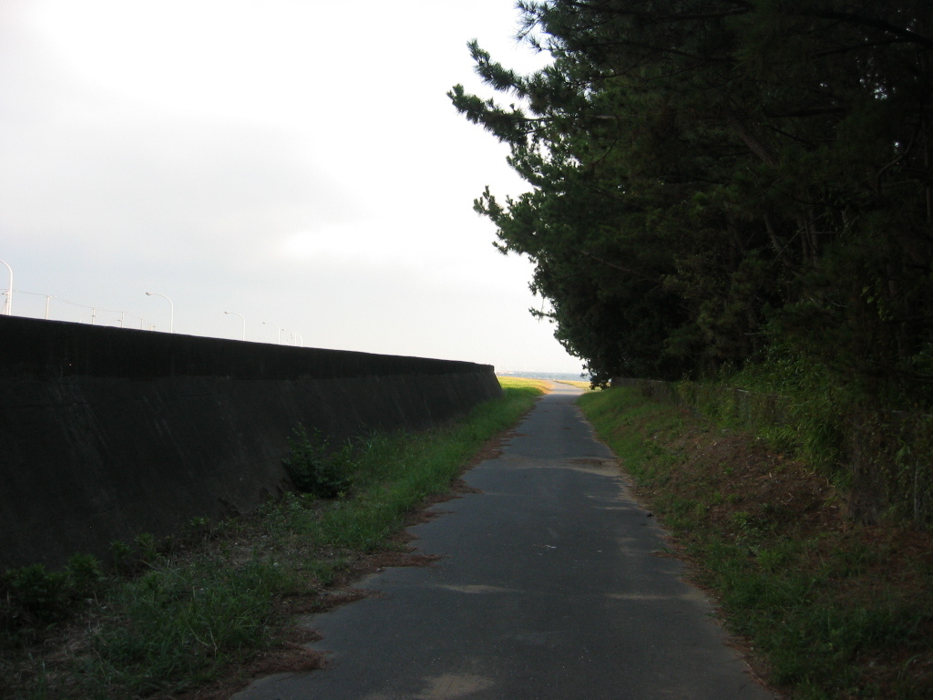 震災前のサイクリングロード