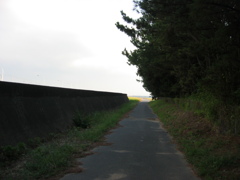 震災前のサイクリングロード