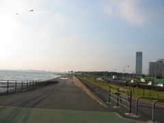 震災前のサイクリングロード