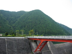 2004年クワガタ採集、北茨城、福島県