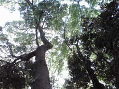 行くあてなくサイクリング