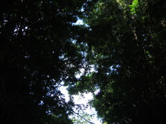 千葉県奥地へ一人旅。ペーパードライバー運転練習の為