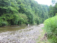 初夏、千葉県養老渓谷