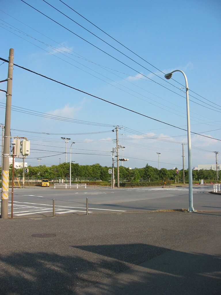 震災前のサイクリングロード