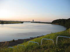 市川市の江戸川の土手から松戸へサイクリング中の撮影