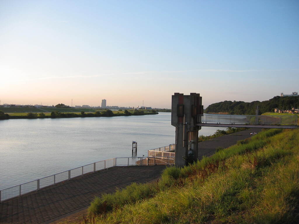 市川市の江戸川の土手から松戸へサイクリング中の撮影