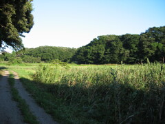 子供の頃に遊んだ場所 夏