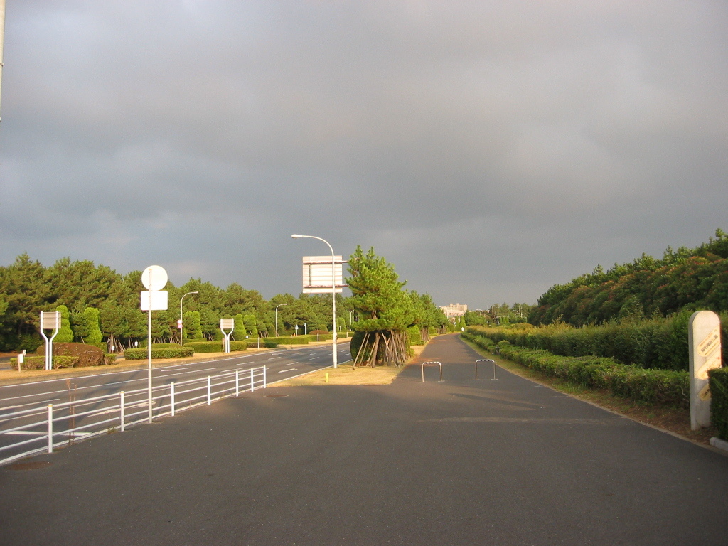 震災前のサイクリングロード