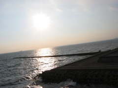 震災前のサイクリングロード