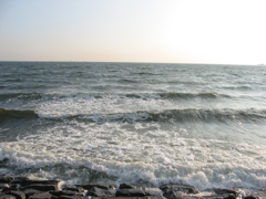 震災前のサイクリングロード