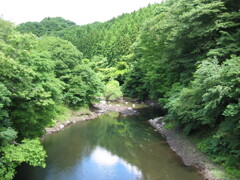 2004年クワガタ採集、北茨城、福島県