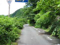 2004年クワガタ採集、北茨城、福島県