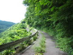 2004年クワガタ採集、北茨城、福島県