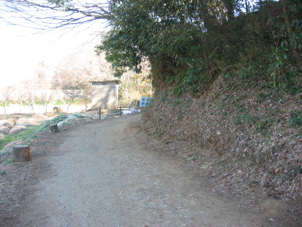 子供の頃に遊んだ場所