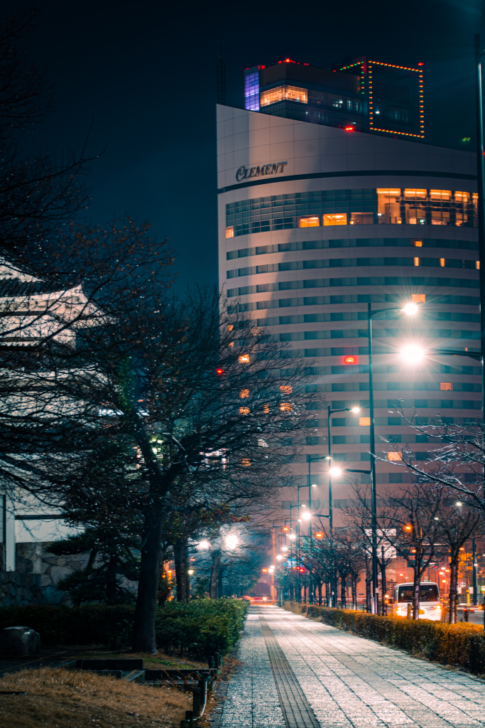 夜の散歩