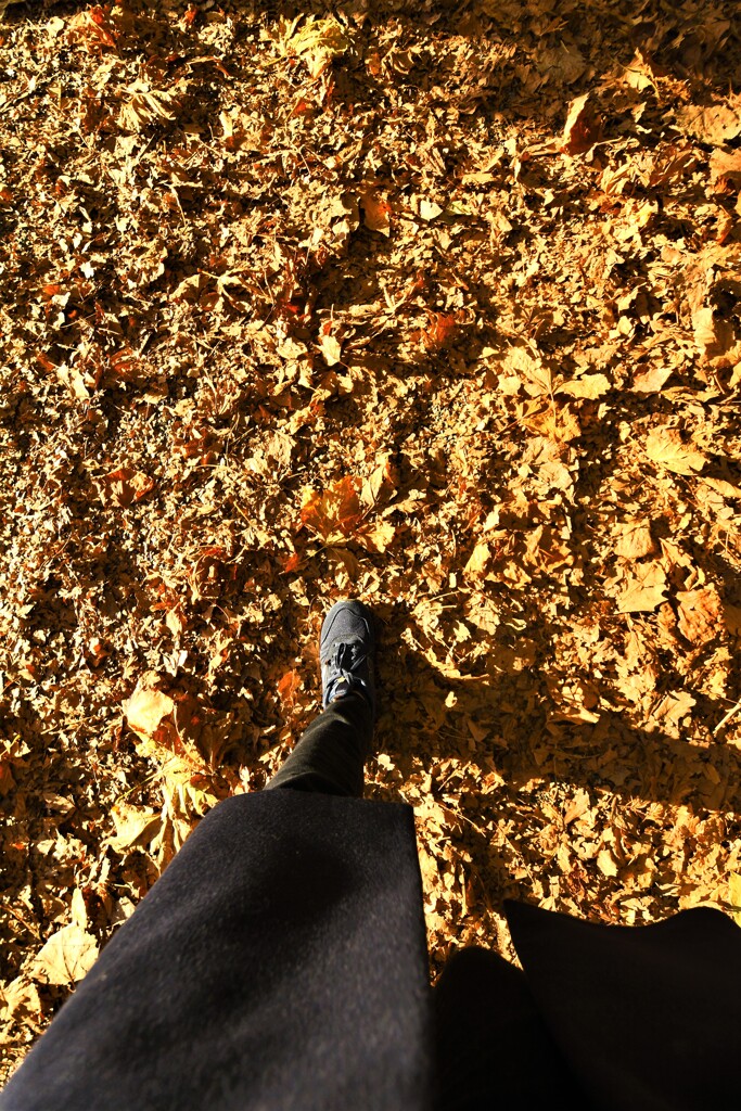 どこへ行こうか