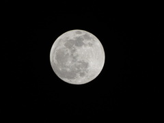 wolf moon (狼月)