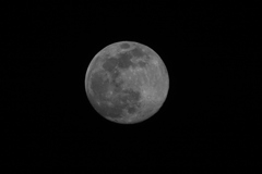 月齢13.7