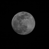 月齢13.7