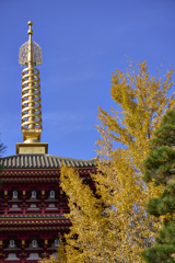 高幡不動〜紅葉狩り