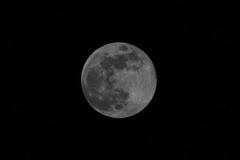 ５月の満月フラワームーン