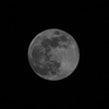 ５月の満月フラワームーン