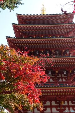 高幡不動尊金剛寺4