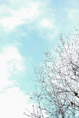 青空