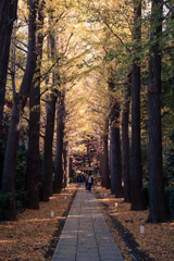 晩秋の景