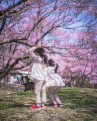 高遠城址公園にて