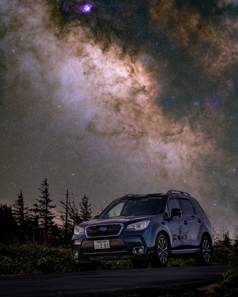 FORSTER × MILKYWAY