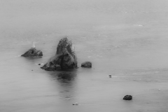 1DX_2499５