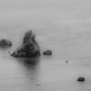 1DX_2499５