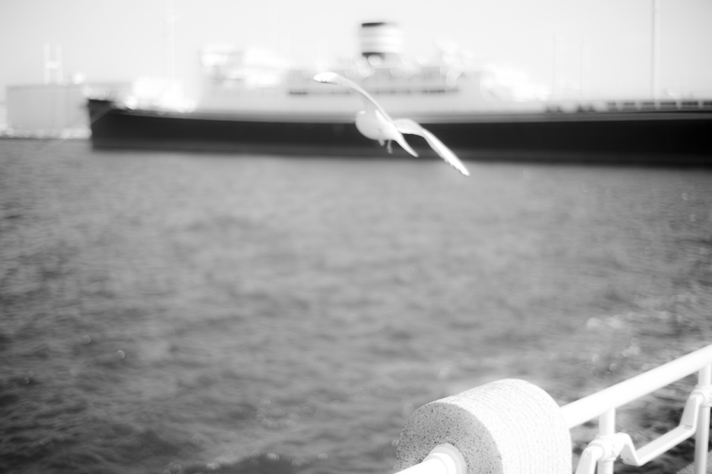 DSC06020５