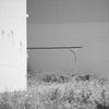 1DX_2667５