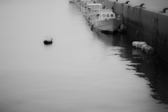1DX_2674５