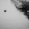 1DX_2674５