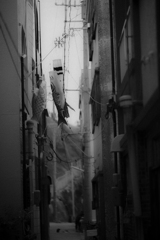 1DX_2661５