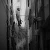 1DX_2661５