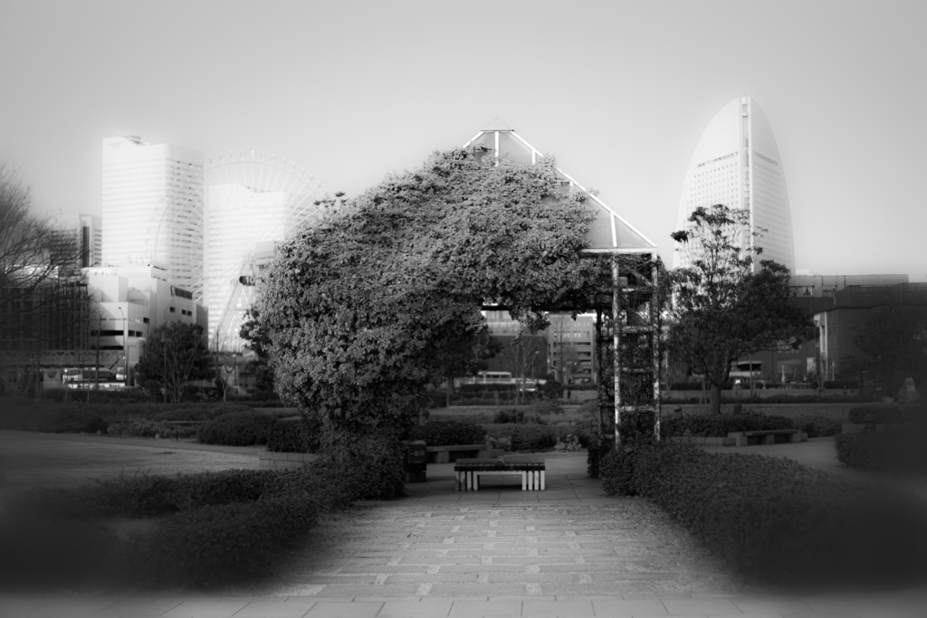 DSC05703５