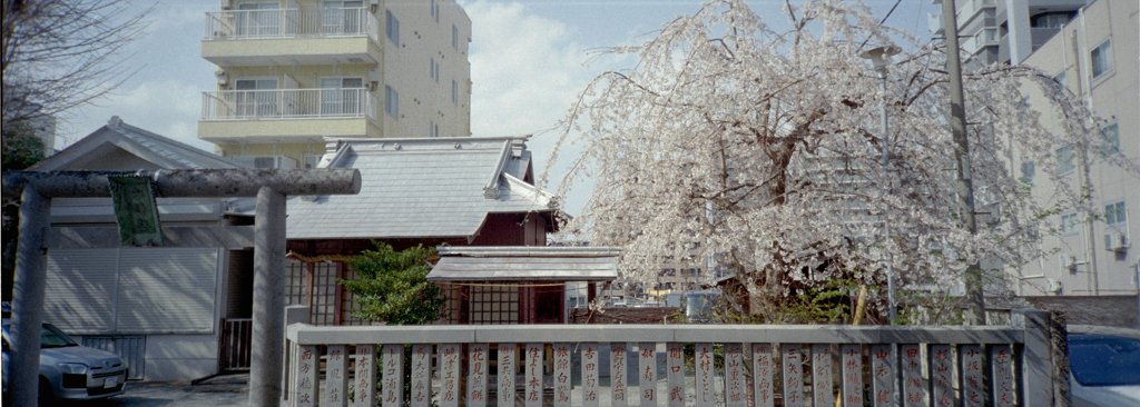 P'S_010017