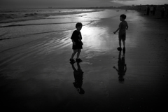 NZF_7781